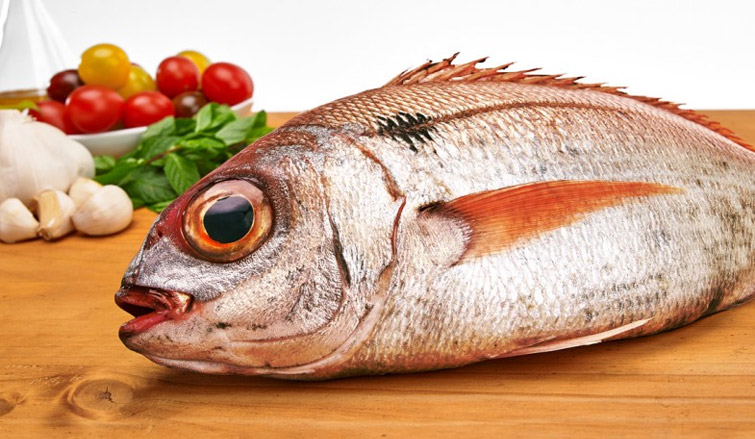 Pescado Besugo